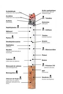 Schéma d'une cigarette entière avec la liste de produits toxiques qu'elle contient